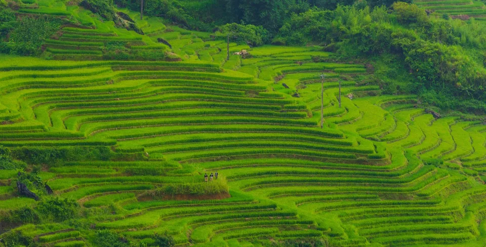 Kho gạo của Hương Quê Út Lệ