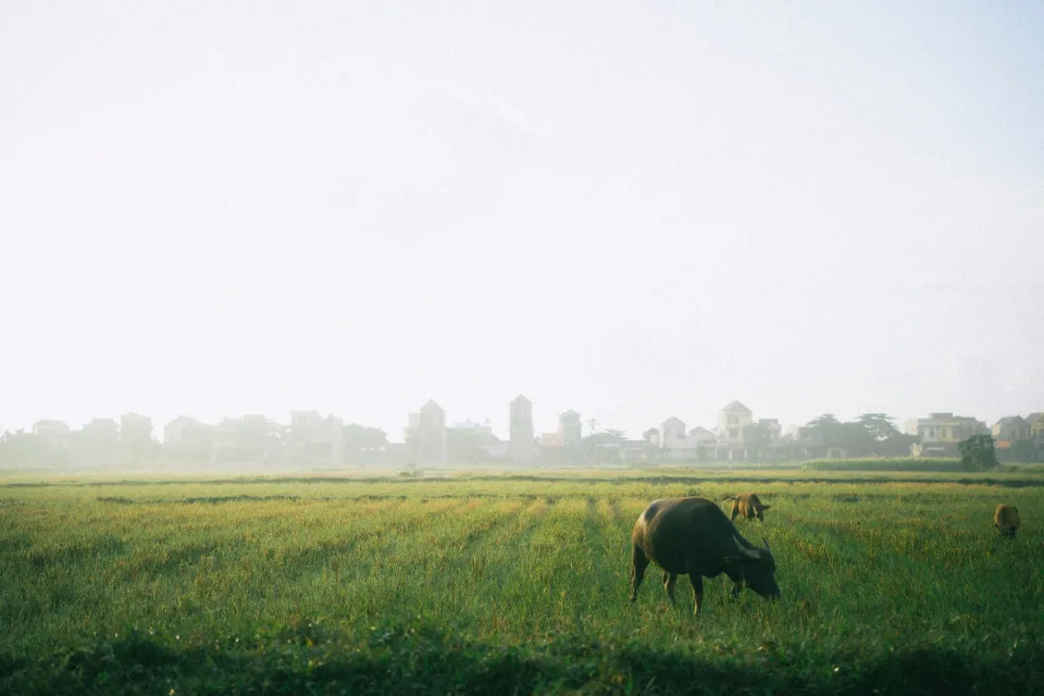 Kho gạo xếp bao